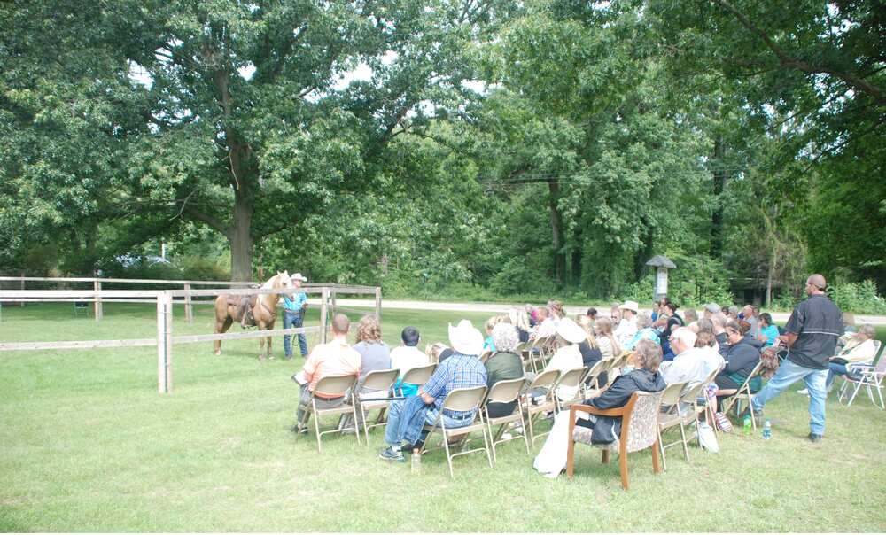 Outdoor service on the front lawn with a horse in the round pen